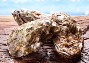 COEPRISS declara veda sanitaria en la Bahía de Altata Norte por Marea Roja