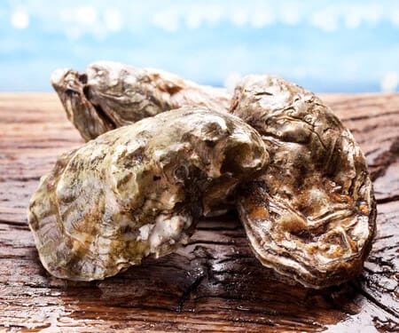 COEPRISS declara veda sanitaria en la Bahía de Altata Norte por Marea Roja