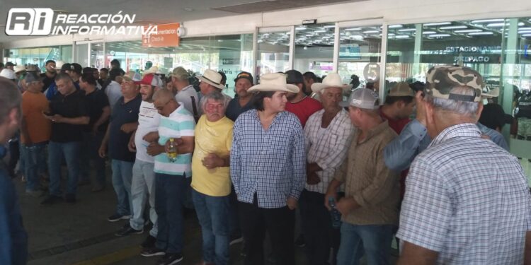 Toman productores Aeropuerto Internacional de Culiacán