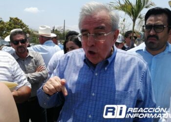 Todas las bodegas tiene capacidad para recibir maíz: Rocha Moya