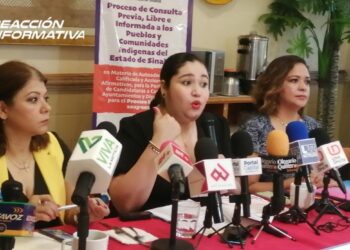 Realizará IEES consultas previas en comunidades indígenas para elegir a sus candidatos