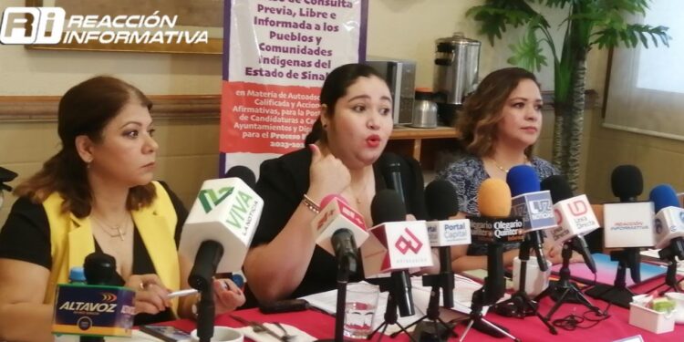 Realizará IEES consultas previas en comunidades indígenas para elegir a sus candidatos