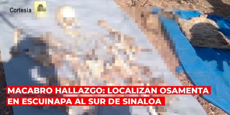 Macabro hallazgo: localizan osamenta en Escuinapa al sur de Sinaloa