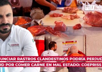 No denunciar rastros clandestinos podría perjudicar la salud por comer carne en mal estado: COEPRISS