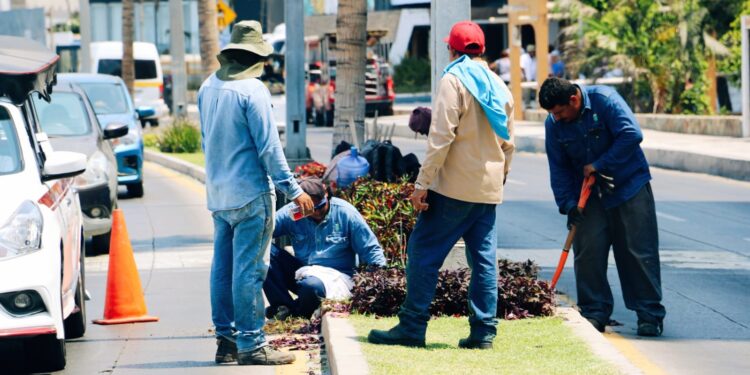 Dan mantenimiento a jardinería y palapas del paseo costero previo a las lluvias