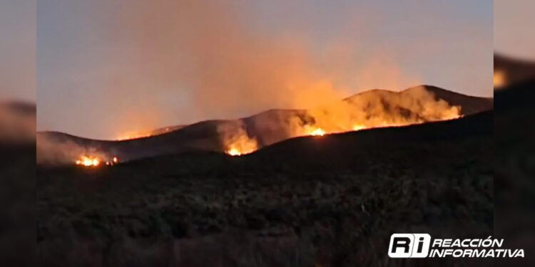 Se registra incendio forestal en la Sierra de El Sabino, entre Zacatecas y SLP