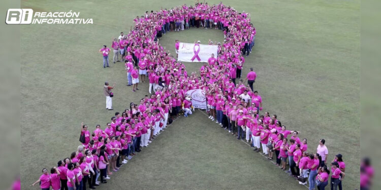 Gobierno canceló Normas Oficiales sobre cáncer de mama, cérvico uterino y lactancia materna