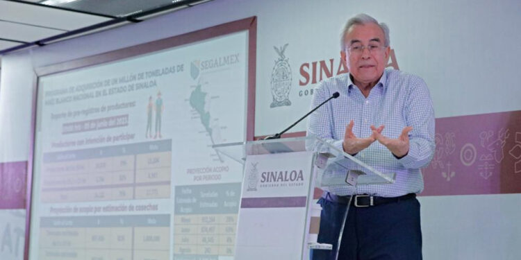 SEGALMEX pagará los martes y sábados el maíz ya acopiado