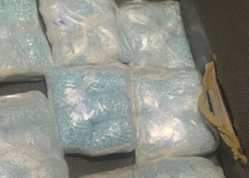 Decomisan cerca de 40 mil pastillas de fentanilo en Chihuahua