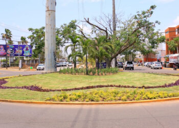 ¡Diferente y embellecida la Avenida Delfín!