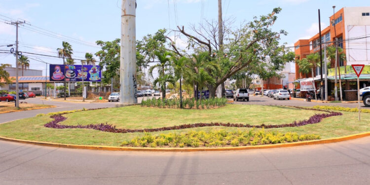 ¡Diferente y embellecida la Avenida Delfín!