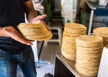 AMLO exigirá a las tortillerías usar solo maíz blanco