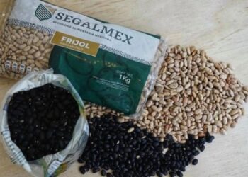 Fraude a Segalmex es de 9 mil 500 mdp y no de 15 mil mdp: Función Pública