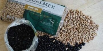 Fraude a Segalmex es de 9 mil 500 mdp y no de 15 mil mdp: Función Pública