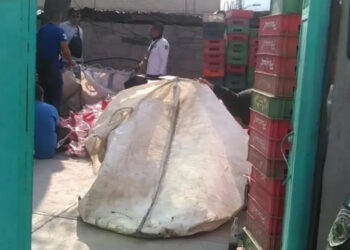 Aseguran otra fábrica de Coca Cola pirata en el Edomex