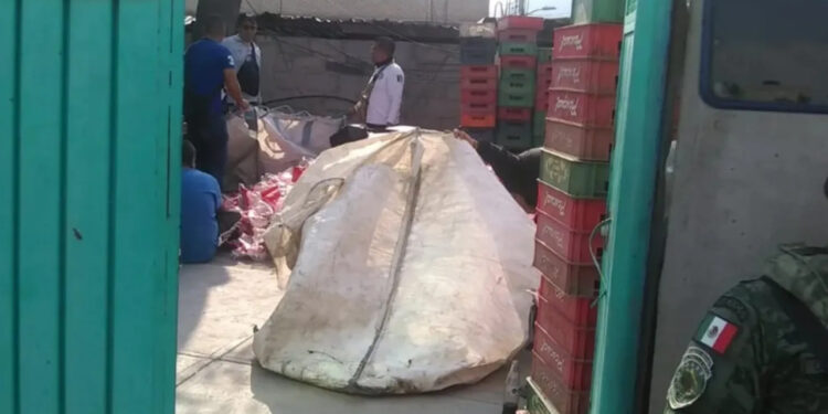 Aseguran otra fábrica de Coca Cola pirata en el Edomex