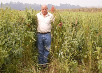 Asesinan en Tlalmanalco al ambientalista Álvaro Arvizu