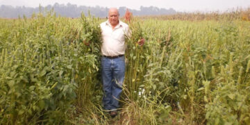 Asesinan en Tlalmanalco al ambientalista Álvaro Arvizu