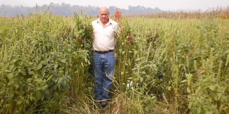 Asesinan en Tlalmanalco al ambientalista Álvaro Arvizu