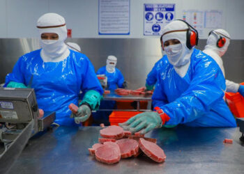 Sinaloa con más de 21 mil nuevos empleos en mayo de 2023