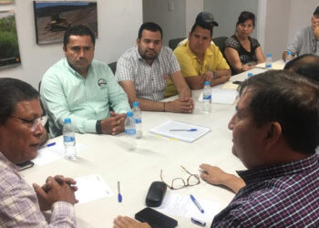 Garantizada la compra de 2 millones de toneladas de maíz de la cosecha otoño-invierno 2022-2023: SAYG