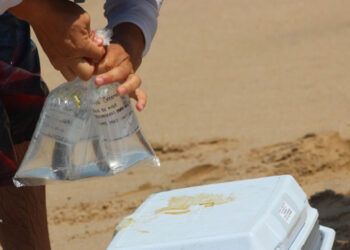 COEPRISS analiza agua de Playas de Mazatlán previo al periodo vacacional