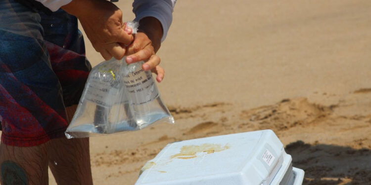 COEPRISS analiza agua de Playas de Mazatlán previo al periodo vacacional