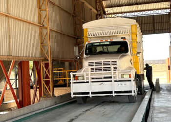 Este lunes inicia SEGALMEX con los registros para pagar el maíz