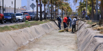 Gobierno de Mazatlán avanza con 50 kilómetros de canales pluviales limpios