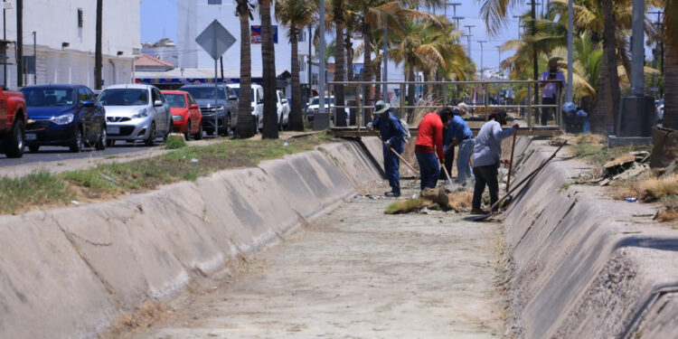 Gobierno de Mazatlán avanza con 50 kilómetros de canales pluviales limpios