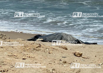 Localizan sin vida cuerpo de mujer al norte de Mazatlán