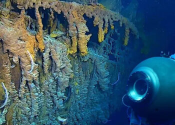 ¿Víctimas de la maldición de Terranova? La posible razón detrás del submarino perdido