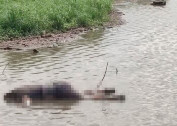 Aparece un hombre sin vida flotando en el río Humaya