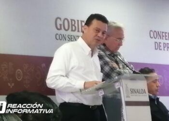 El 80% de los apagones son a causa de los árboles: CFE