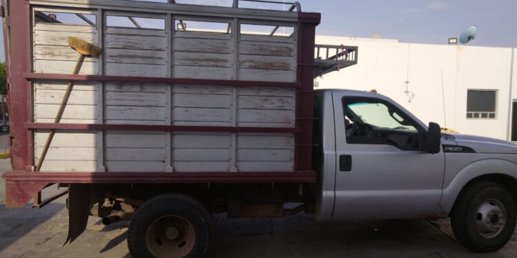 Sedena, Guardia Nacional y Policía Estatal aseguran a hombre armado