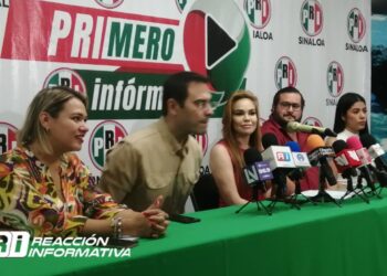 Es inhumano el servicio de la CFE: Paola Gárate