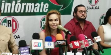 Es inhumano el servicio de la CFE: Paola Gárate