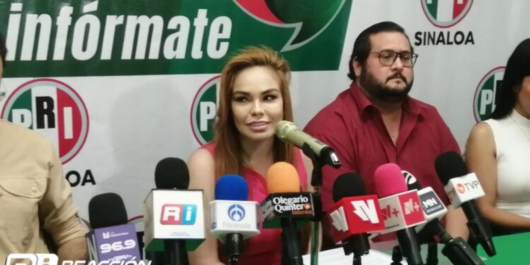 Es inhumano el servicio de la CFE: Paola Gárate