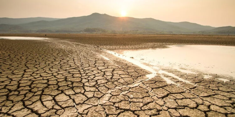 Alerta climática; El Niño persistirá en invierno con posibles efectos en cultivos y seguridad alimentaria