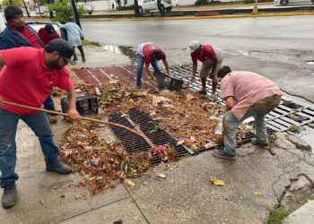 Tras lluvia del sábado, Servicios Públicos realiza intensa jornada de limpieza