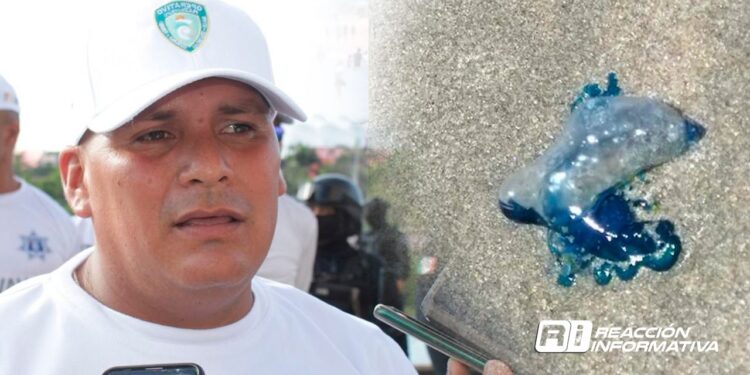 Escuadrón Acuático confirma presencia de quemadores; recomienda acatar recomendaciones