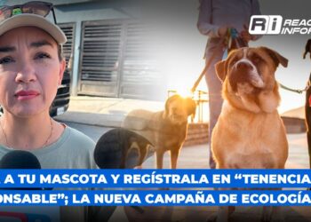 Lleva a tu mascota y regístrala en “Tenencia Responsable”; la nueva campaña de Ecología