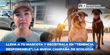 Lleva a tu mascota y regístrala en “Tenencia Responsable”; la nueva campaña de Ecología