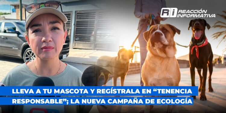 Lleva a tu mascota y regístrala en “Tenencia Responsable”; la nueva campaña de Ecología
