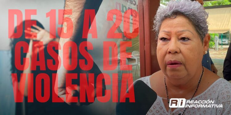 Mazatlán registra entre 15 y 20 casos de violencia familiar cada mes: SIPINNA