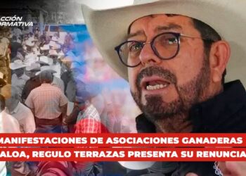 Tras manifestaciones de Asociaciones Ganaderas en Sinaloa, Regulo Terrazas presenta su renuncia