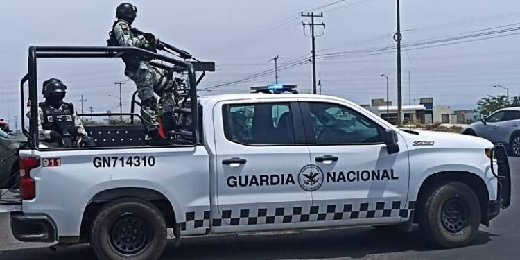 Tráiler es sorprendido con 250 kilos de metanfetaminas en Ahome; fue asegurado por la Guardia Nacional
