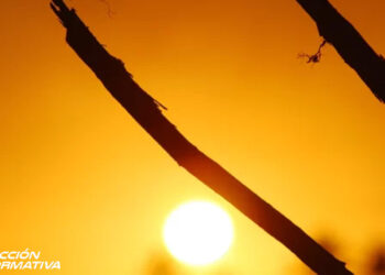 Los científicos afirman que seguirá el aumento de temperaturas, tras dos récords esta semana