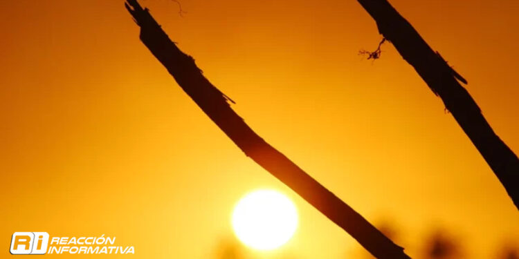 Los científicos afirman que seguirá el aumento de temperaturas, tras dos récords esta semana