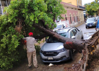 Servicios públicos realiza labores de limpieza en toda la ciudad, tras las lluvias